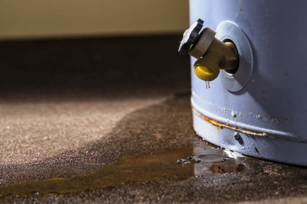 Best Flood restoration services  in Bunk Foss, WA