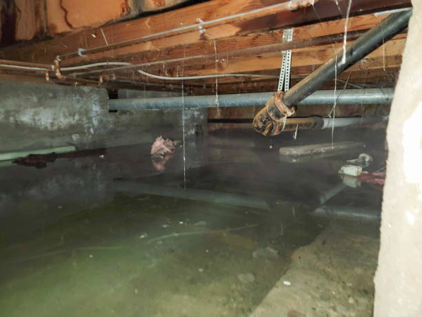 Best Flood damage cleanup  in Bunk Foss, WA