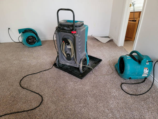 Best Water damage restoration near me  in Bunk Foss, WA