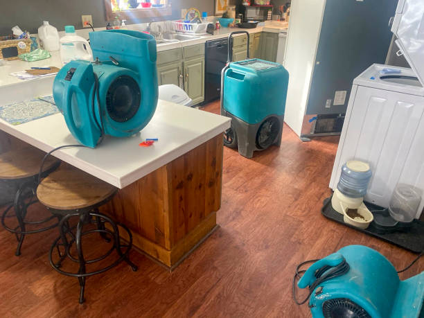 Best Local water damage restoration  in Bunk Foss, WA