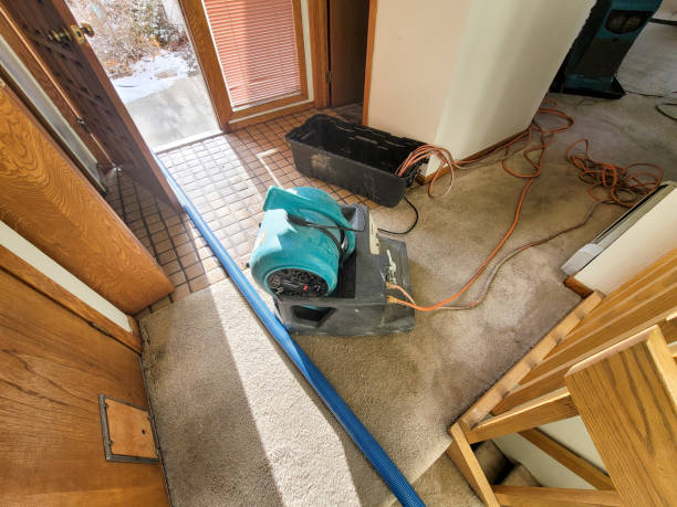 Best Mold removal after water damage  in Bunk Foss, WA