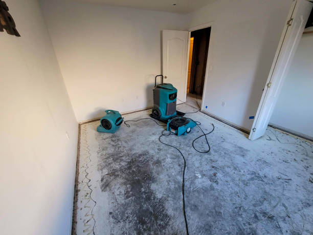 Best 24/7 water damage repair  in Bunk Foss, WA