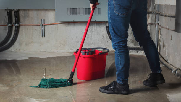 Best Professional water damage repair  in Bunk Foss, WA