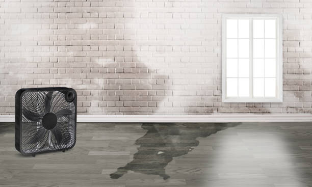 Best Water damage contractors near me  in Bunk Foss, WA