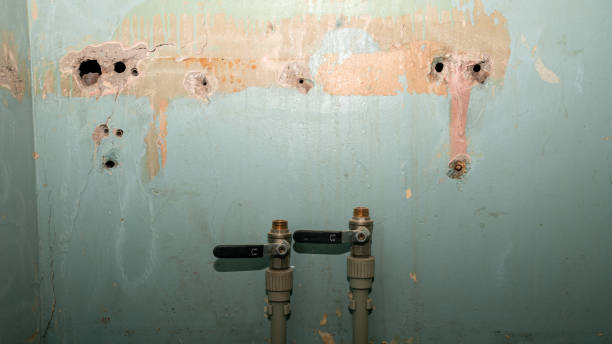 Water damage restoration experts in WA