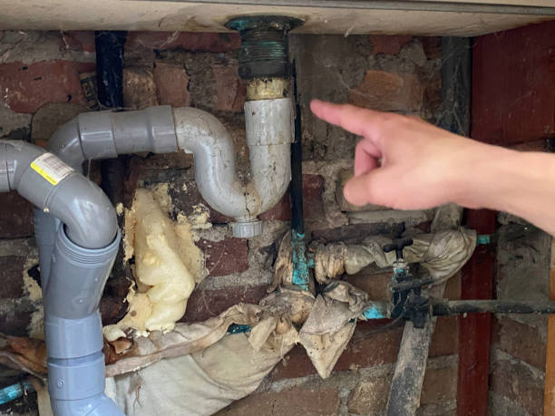 Best Basement water damage restoration  in Bunk Foss, WA