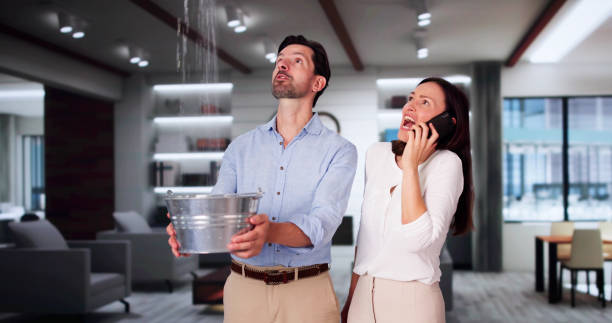 Best Water damage restoration cost  in Bunk Foss, WA