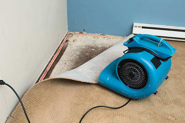 Best Water damage restoration near me  in Bunk Foss, WA